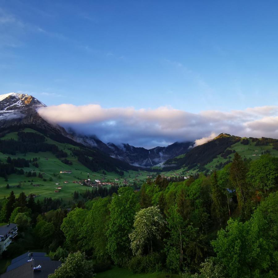 Fewo Fernsicht Crystal Adelboden Exterior photo